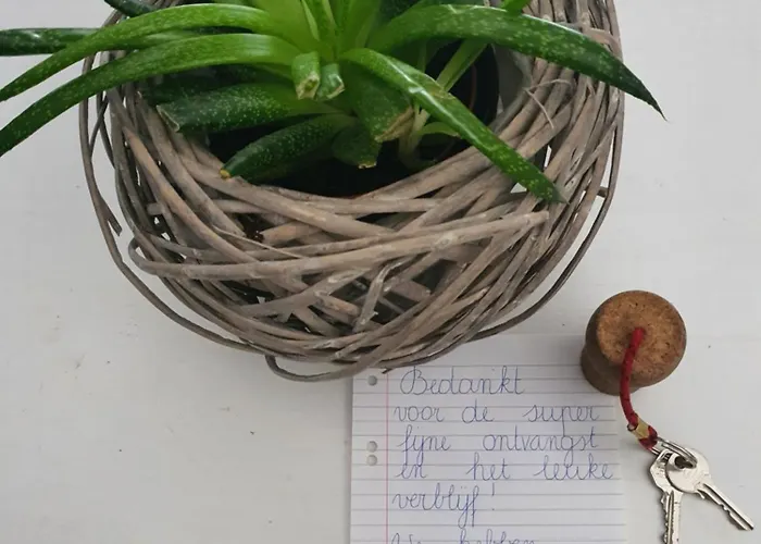 Bluebeach Scheveningen 3* 海牙