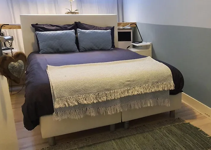 Bluebeach Scheveningen بيت ضيافة