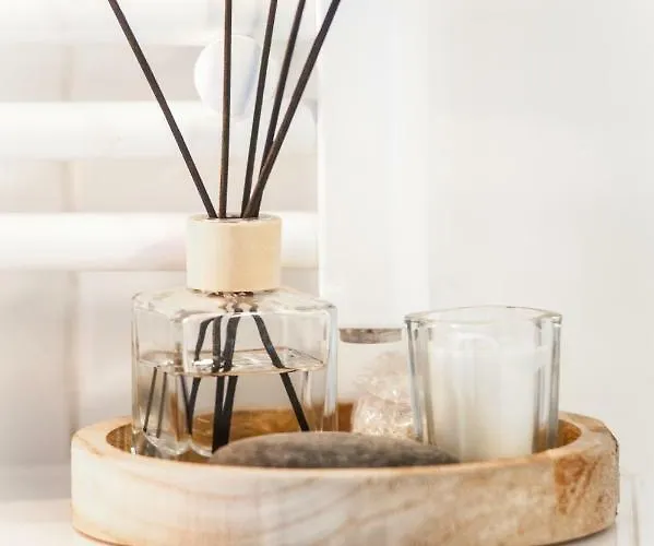 Guest house Bluebeach Scheveningen 3*